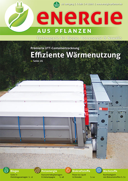 Energie aus Pflanzen